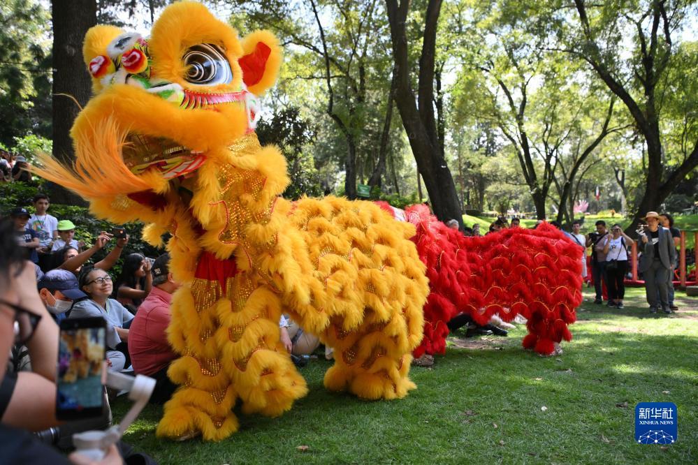 澳门正规十大博排名